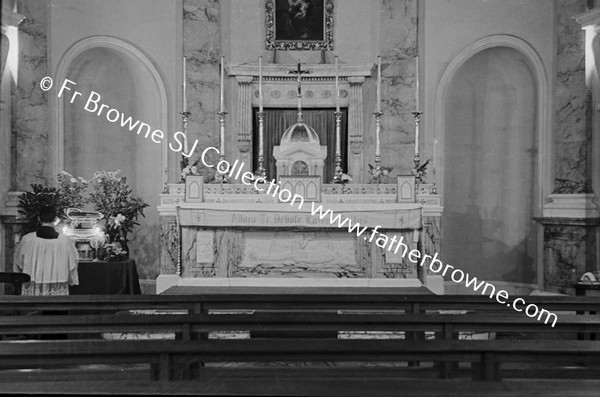 ST FRANCIS XAVIERS  RELIC EXPOSED IN CHAPEL FLASH